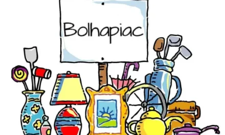 Újra bolhapiac a Verőcei Művelődési Házban